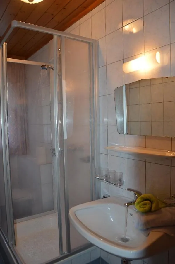 Mitterstererhof Apartment Saalbach-Hinterglemm 0*,  Austria