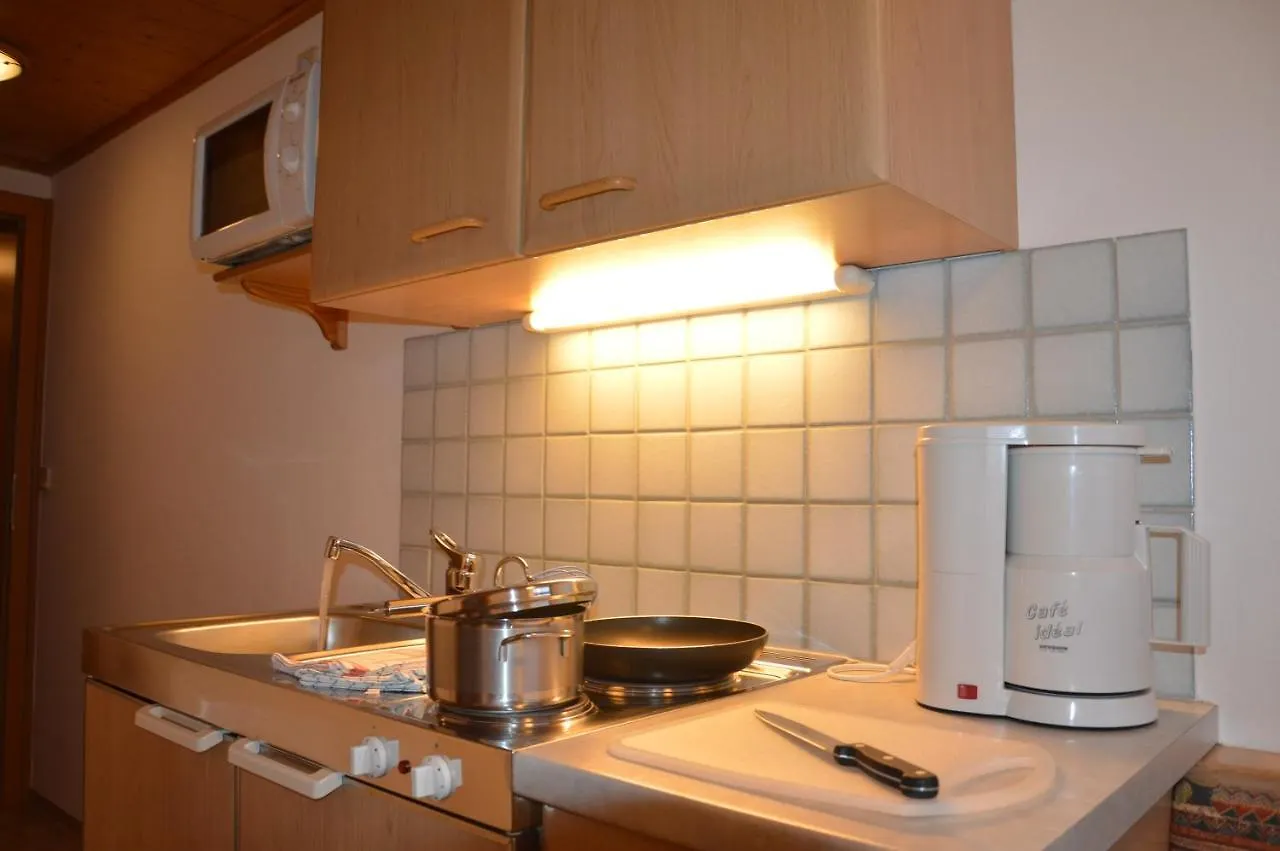 Mitterstererhof Apartment Saalbach-Hinterglemm Austria